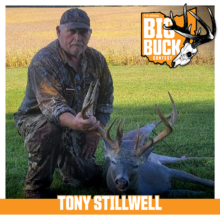Tony Stillwell